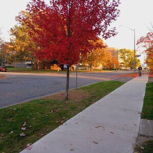 Meet your Posher,Ilyna